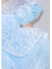 Sky Blue Ruffle Tulle Sleeves Sparkly Flower Girl Dress